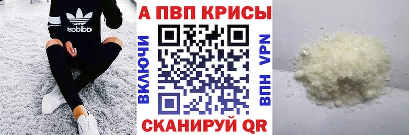 гидра ссылка  Жиздра  A PVP СК 