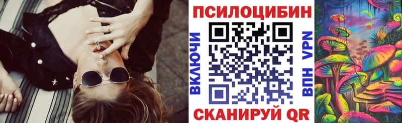 Галлюциногенные грибы Psilocybe  Жиздра 