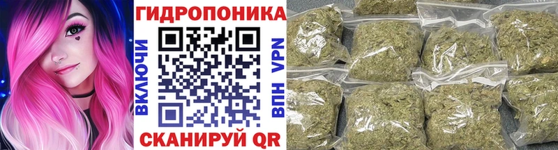 Каннабис MAZAR Жиздра